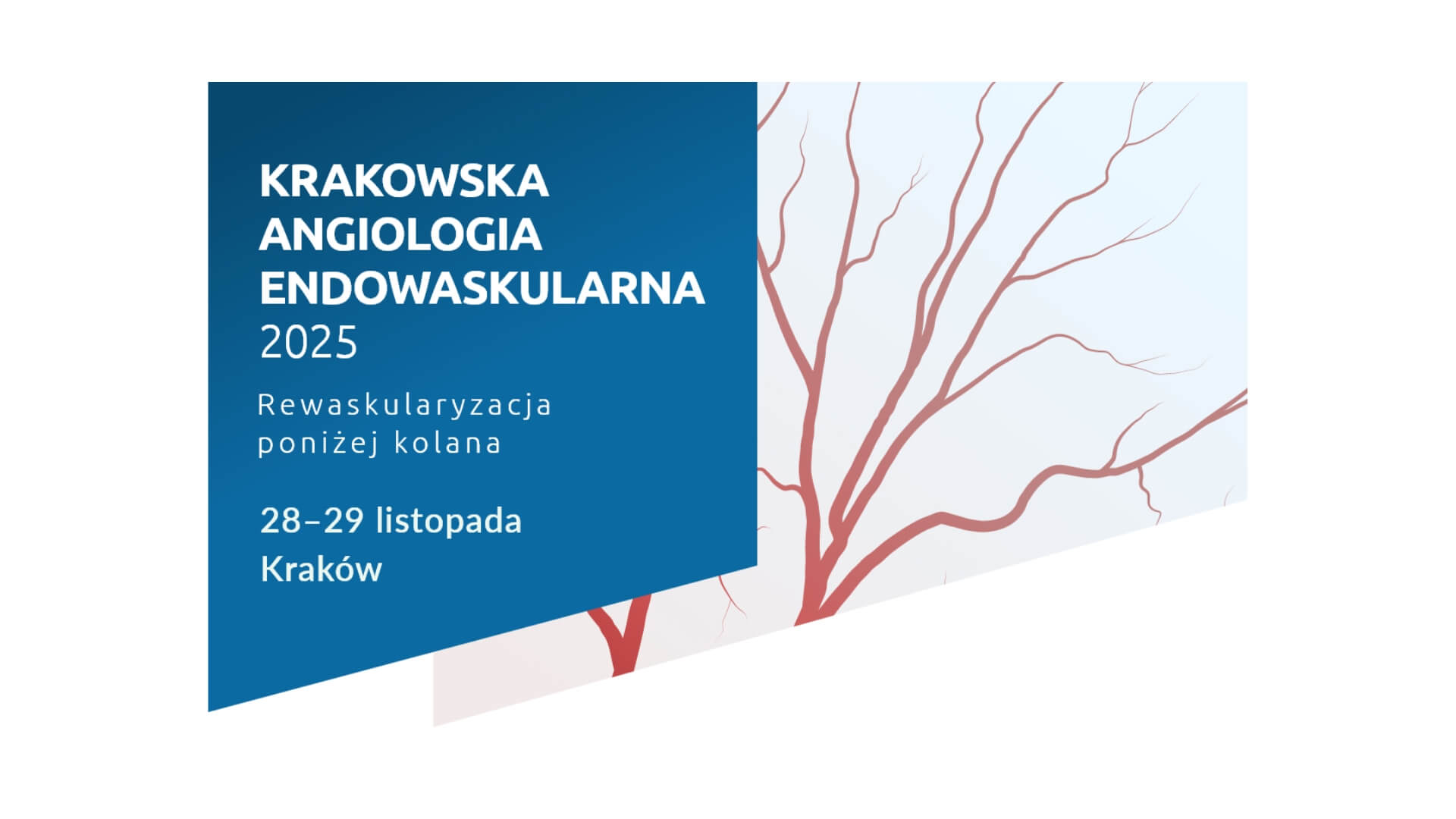 Krakowska Angiologia Endowaskularna 2025 - Kraków, Polska